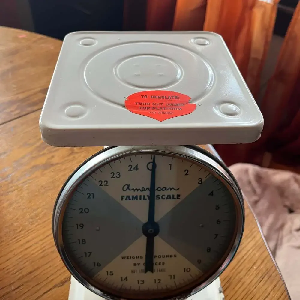 Vintage American Family Kitchen Scale 25 Lbs